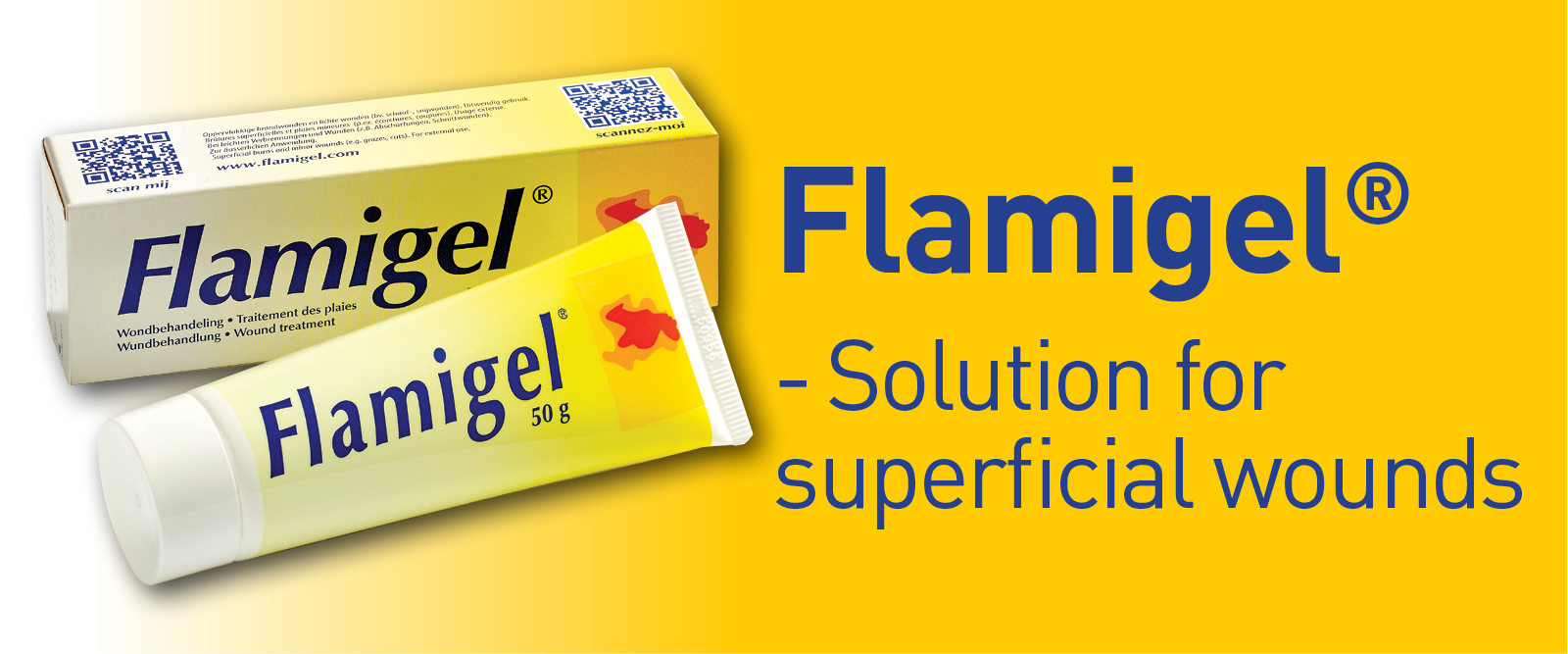 EHC Flamigel Web Page Banner 1200x500_Aug 2022.png