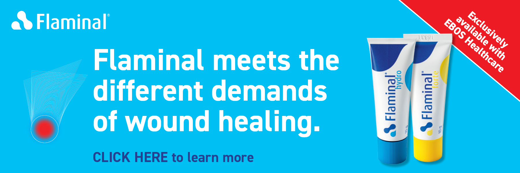EHC AU Flaminal Campaign Assets Web banner_Aug 20232.png