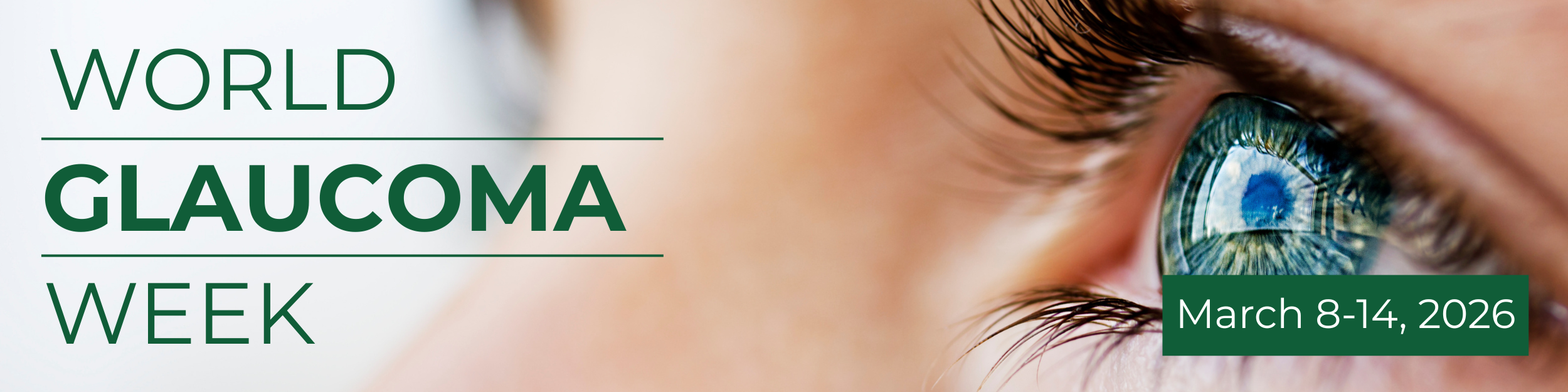 Glaucoma LP.png