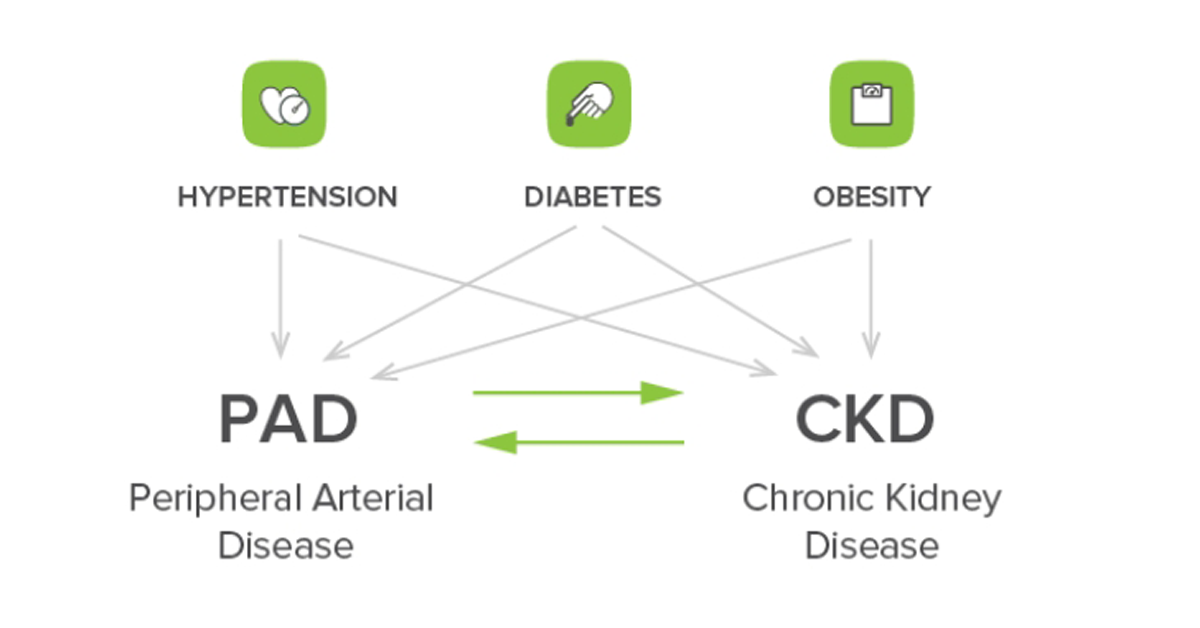 Chronic Kidney Disease.png