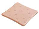Allevyn Ag Non Adhesive Wound Dressing, 10x10cm – Box/10