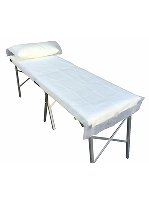HainesĀ® Disposable Economy Long Flat Sheet 240cm x 72cm - Ctn/100