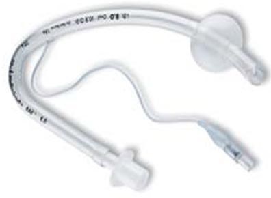 RAE TUBES CUFFED ORAL 6.5mm