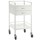 Powder Coated Double Drawer Trolley 50x50x96.7 cm - Each