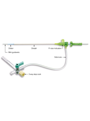 Radiofocus Introducer II Standard Kit B 10cm 4Fr