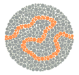 Ishihara Colour Blindness Book 24 Plate
